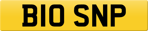 B10SNP