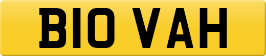 B10VAH