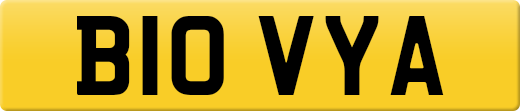 B10VYA
