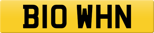B10WHN