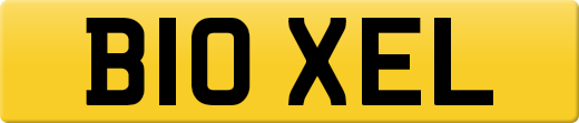 B10XEL