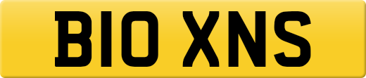 B10XNS