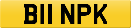 B11NPK