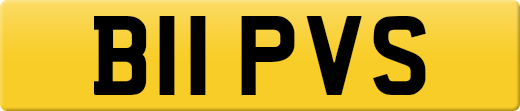 B11PVS