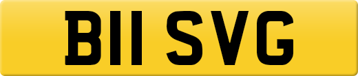 B11SVG