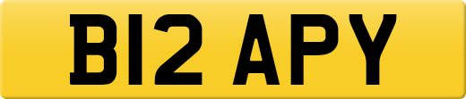B12APY