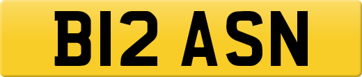 B12ASN