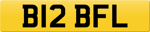 B12BFL