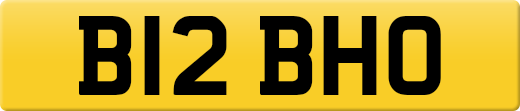 B12BHO
