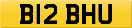 B12BHU