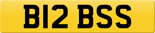 B12BSS