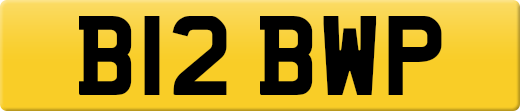 B12BWP