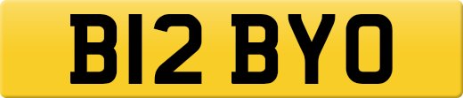B12BYO