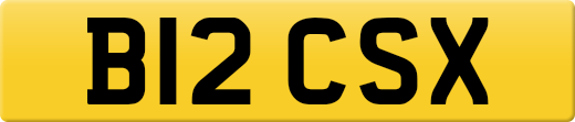 B12CSX