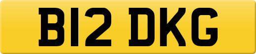B12DKG