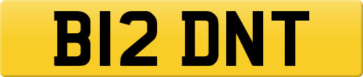 B12DNT