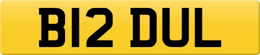 B12DUL