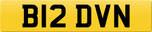B12DVN