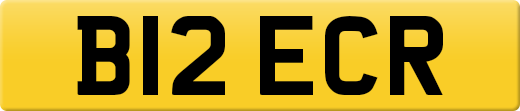 B12ECR