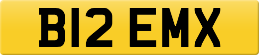 B12EMX