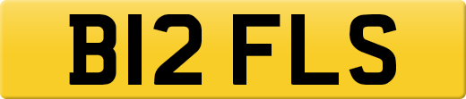 B12FLS
