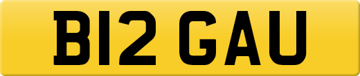 B12GAU