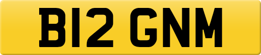 B12GNM