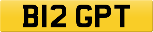 B12GPT
