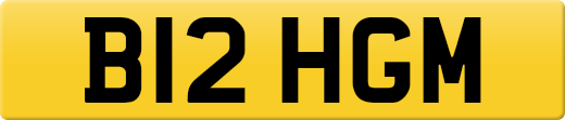 B12HGM