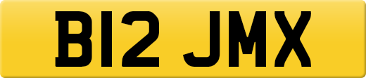 B12JMX