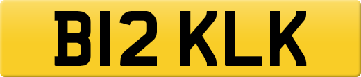 B12KLK