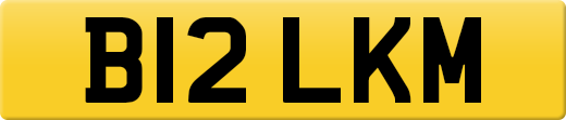 B12LKM