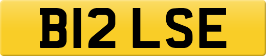 B12LSE
