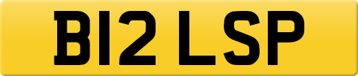 B12LSP