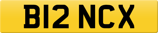 B12NCX