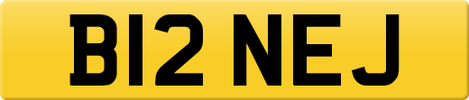 B12NEJ