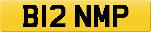 B12NMP