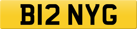 B12NYG