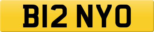 B12NYO