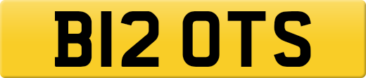 B12OTS
