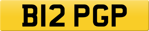 B12PGP
