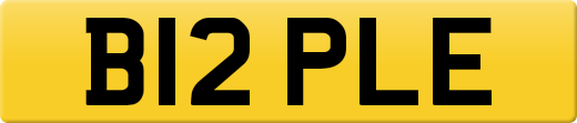 B12PLE