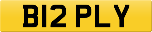 B12PLY