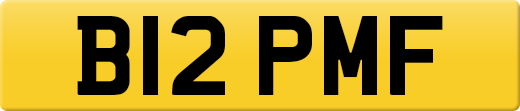 B12PMF