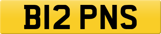 B12PNS