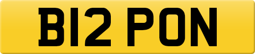 B12PON