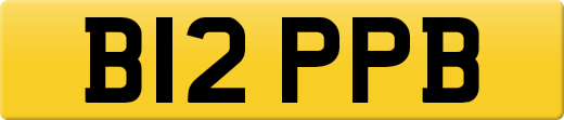 B12PPB