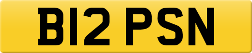 B12PSN