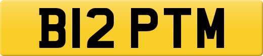 B12PTM