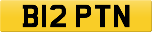 B12PTN